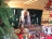 Weihnachtsmarkt in Bildern